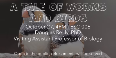 A Tale of Worms and Birds graphic